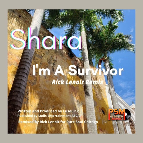 Shara - I'm A Survivor Rick's Survivor Extended Mix.mp3