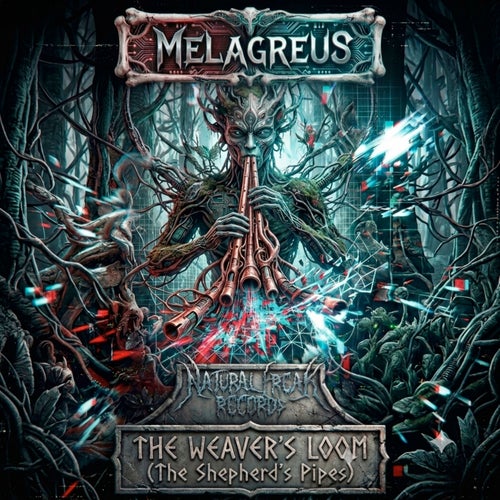 The Weaver's Loom