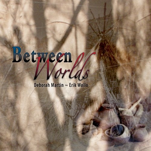 Cover art for Between Worlds