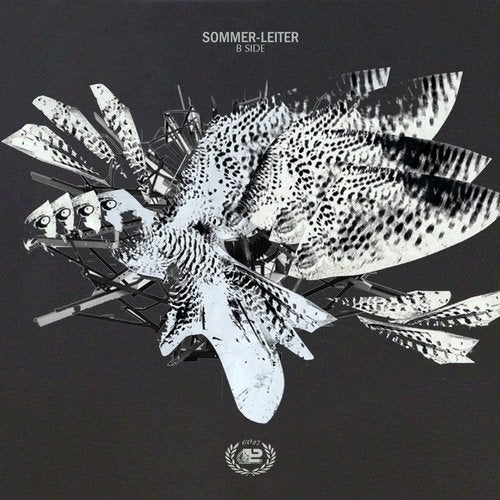 Sommer-Leiter B Side