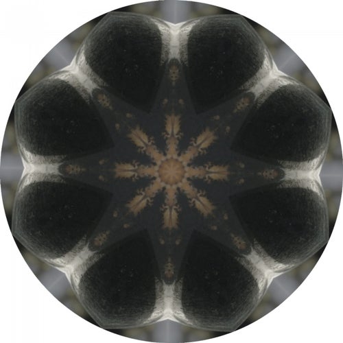 In Dushe Sampler 005