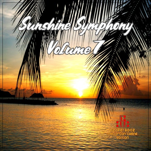 Cover art for Sunshine Symphony, Vol.7 (SELECTED LOUNGE & CHILL HOUSE TRACKS)