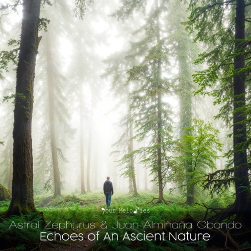 Echoes of an Ascient Nature