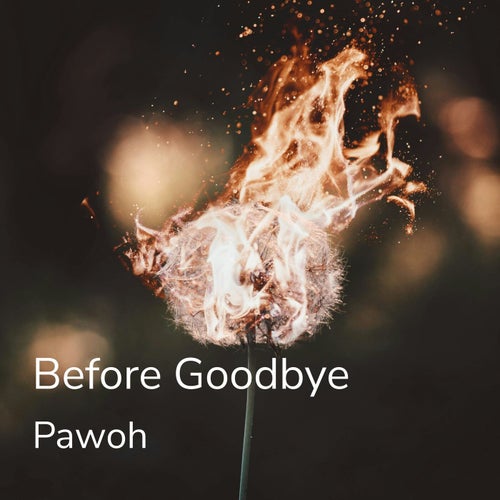 Before Goodbye