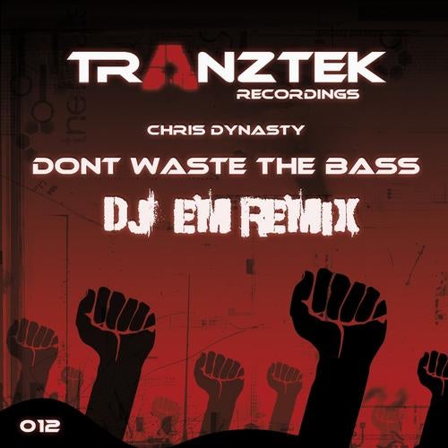 Dont Waste the Bass (DJ Em Remix)