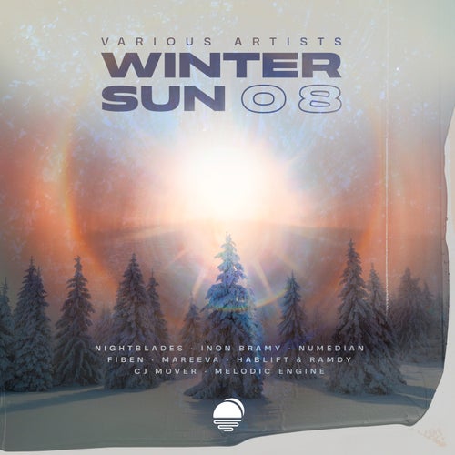 Winter Sun 08