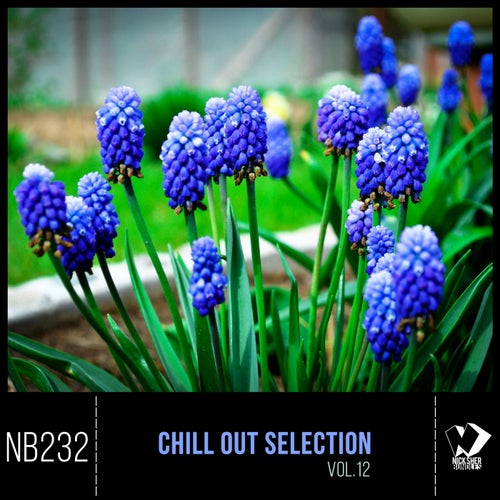 Cover art for Chill out Selection, Vol. 12