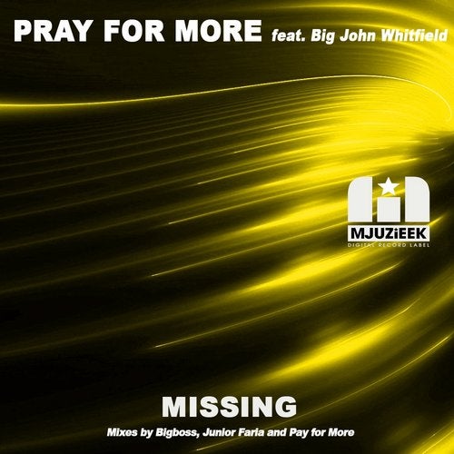 Cover art for Missing