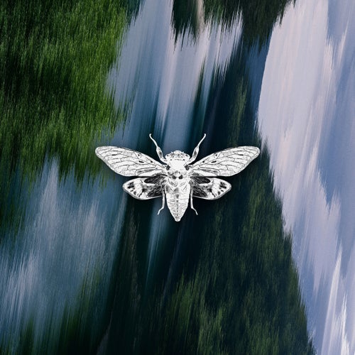 PAGODA — Telekinesis (2026)