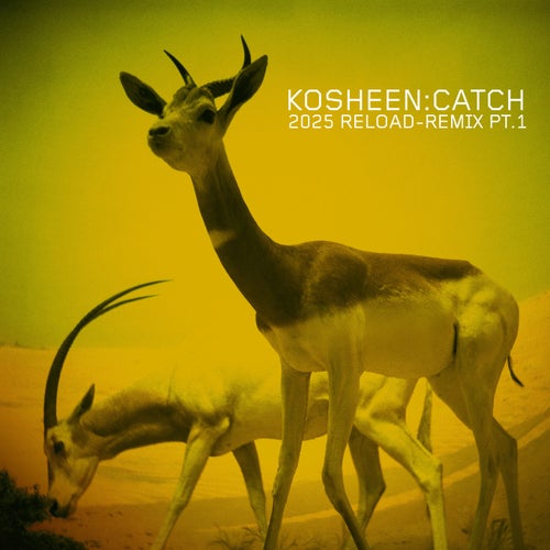 Catch (2025 Reload-Remix, Pt.1)