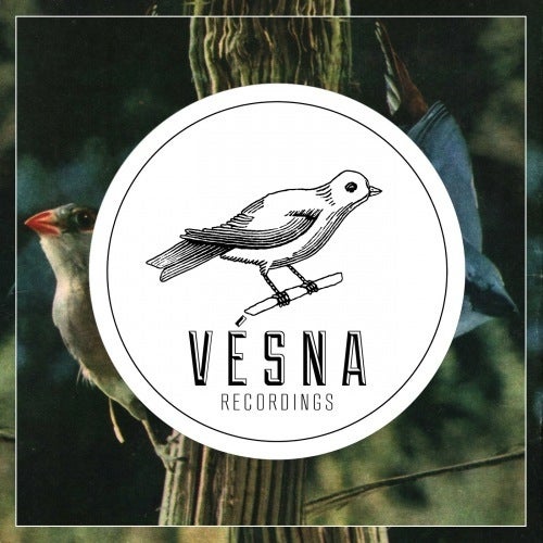 Vesna Recordings