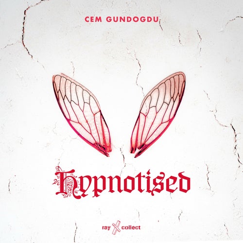 Hypnotised