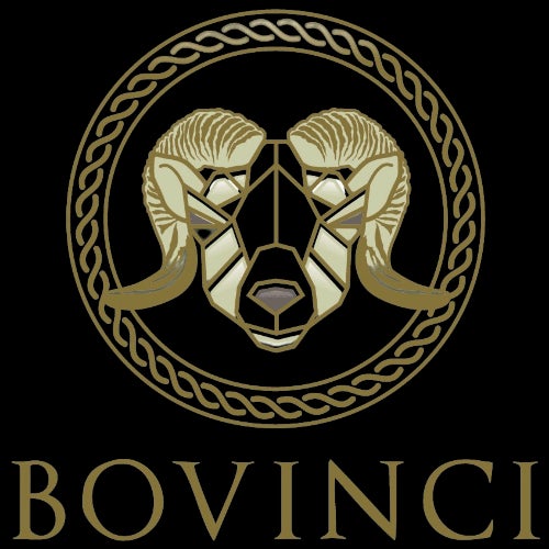 Bovinci