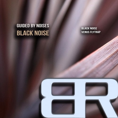 Cover art for Black Noise