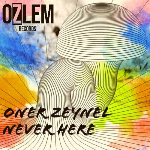 NEVER HERE