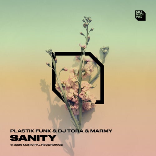 Sanity (Extended Mix)