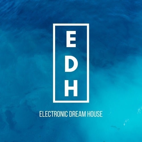 Electronic Dream House