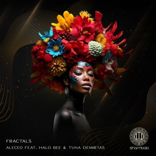 Fractals