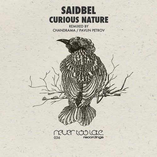 Curious Nature