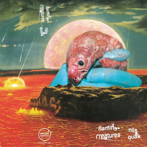 Nils Quak & Flamingo Creatures