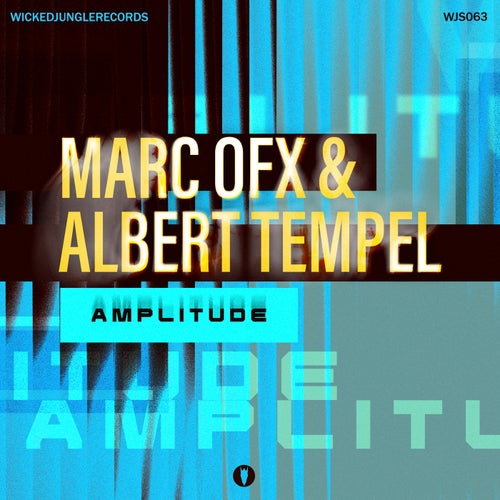 Amplitude