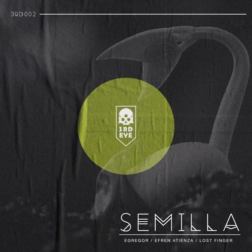 Semilla
