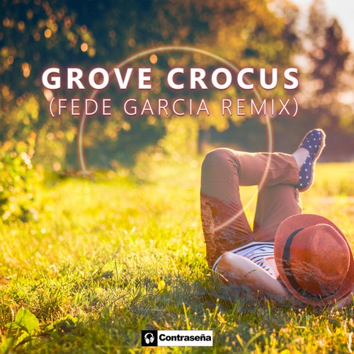 Crocus (Fede Garcia Remix)