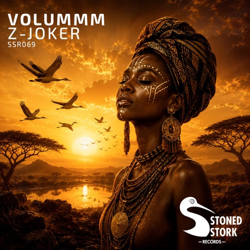 Volummm