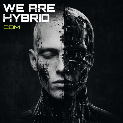 We Are Hybrid