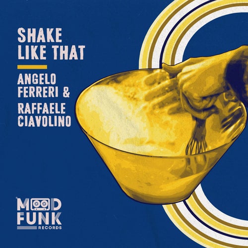 Cover art for Shake Like That