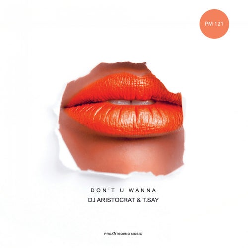 Don't U Wanna