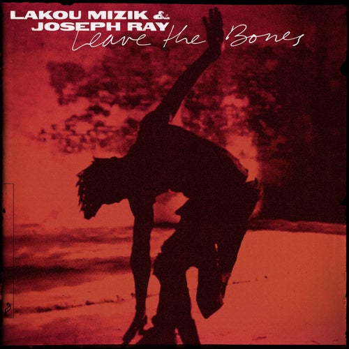 Cover art for Leave the Bones