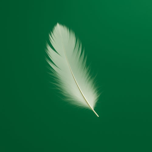 Guiltless (Instrumentals)
