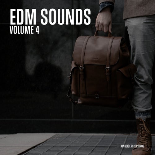 EDM Sounds (Volume 4)
