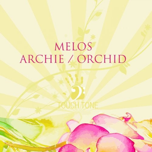 Archie / Orchid