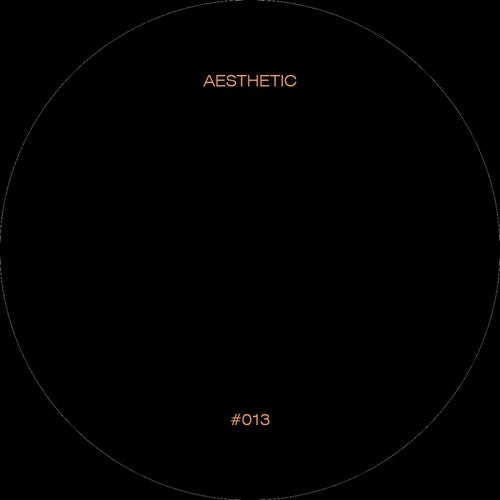 Aesthetic 13