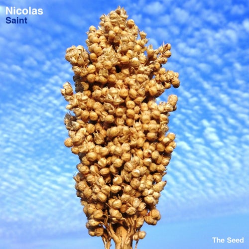 Cover art for Saint
