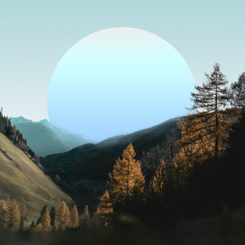 Bliss