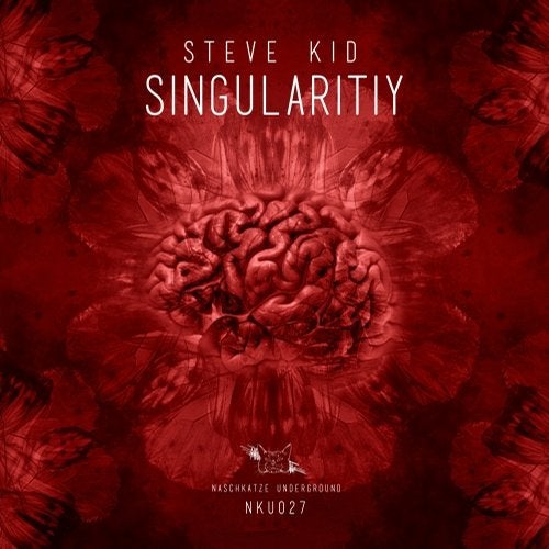 Cover art for Singularity