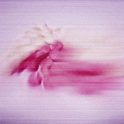 Moss and Pink