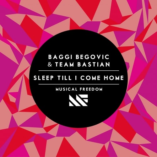 Baggi Begovic "Sleep Till I Come Home" Chart