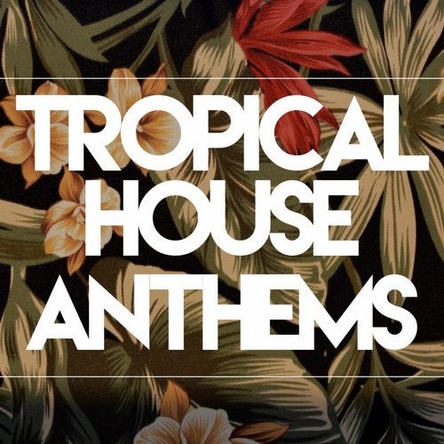 Cover art for Tropical House Anthems