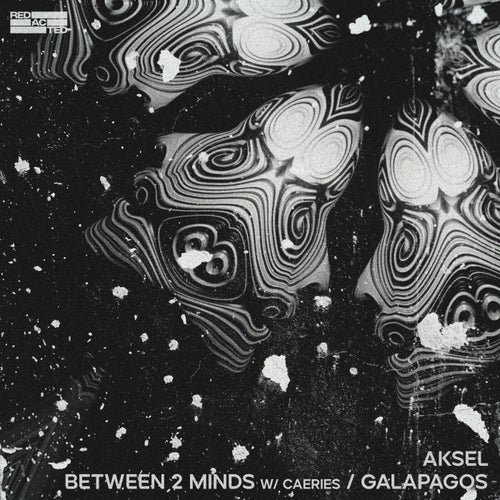 Between 2 Minds / Galápagos