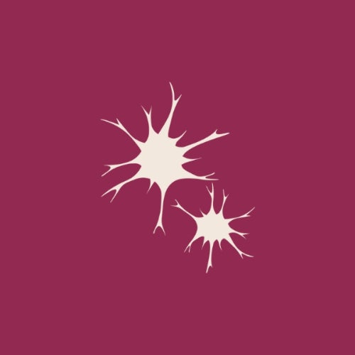 Synapsa