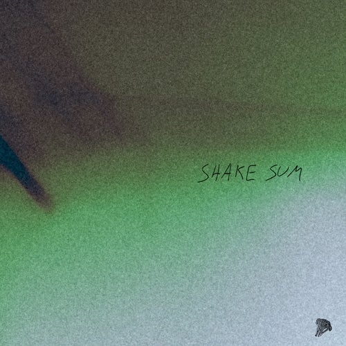 SHAKE SUM