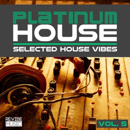 Platinum House Vol. 5 - Selected House Vibes