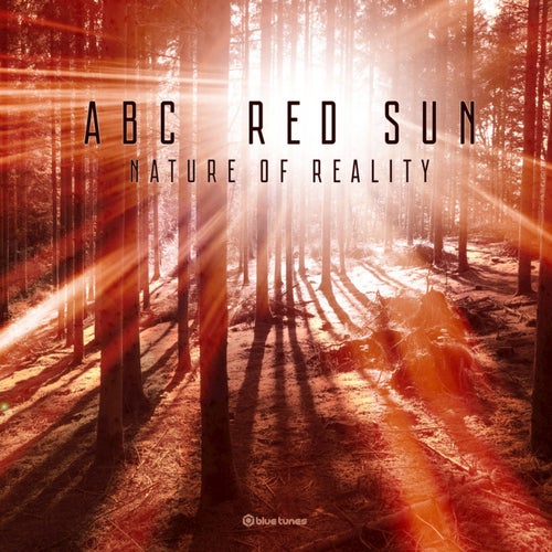 Nature of Reality