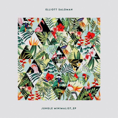 Elliott Saloman - Jungle Minimalist EP (INDEEP041)