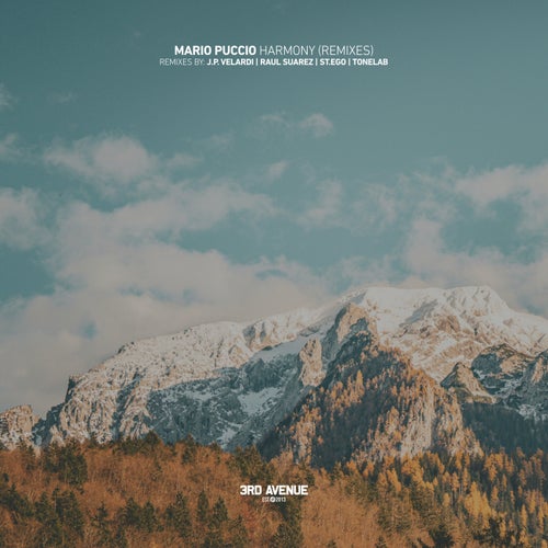  Mario Puccio - Harmony (Remixes) (2024) 