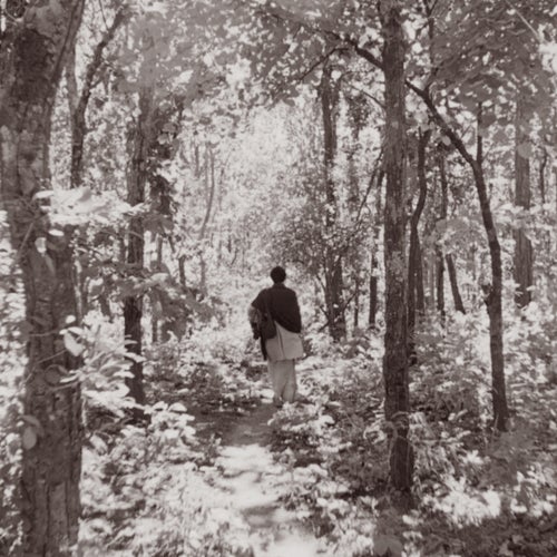 Apu cover art
